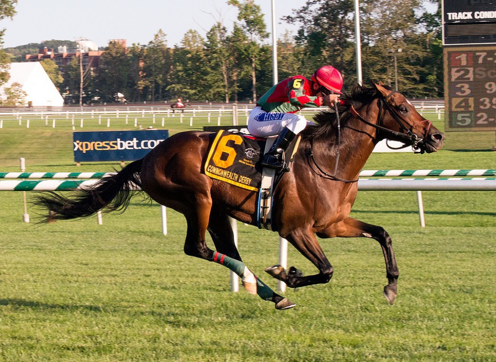 Breeder Albert Coppola's One Go All Go captured the Grade 2 Commonwealth Derby last fall at Laurel. Photo by Jim McCue.