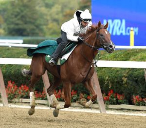 Homespun Hero, trained by Barclay Tagg, has won 2 straight races.