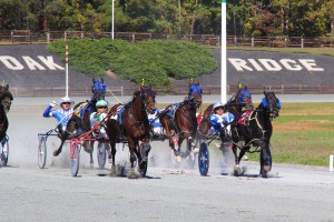 Harness racing, which was held at Oak Ridge last fall, moves to a permanent home this fall at the Shenandoah County Fairgrounds in Woodstock.