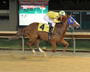 Mitchell County, owned &  bred by new VTA Board member Doug Daniels, won his debut race at Charles Town April 1st. Photo courtesy of Coady Photography.