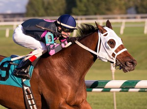 Rose Brier is shown winning at Laurel in the '14 Bert Allen Stakes. Photo by Jim McCue.