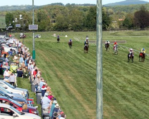 Over 70,000 fans are expected for the Virginia Gold Cup Races on May 7th. 