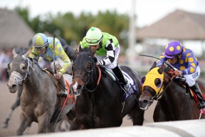 Valid, racing's newest millionaire horse, is one of a handful of Virginia-bred or connected horses racing in graded stakes Saturday