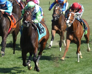 Exaggerated wins the $100,000 Giant's Causeway Stakes at Keeneland this past Saturday. Photo courtesy of Coady Photography.