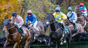 Steeplechase racing attracts 25,000 spectators to Foxfield.