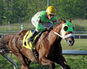 Disco Barbie, owned by Diane Manning, scored in a $33,000 allowance race Monday at Presque Isle.