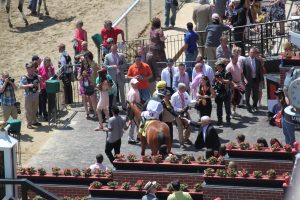 Larry Johnson's Do What I Say is shown in the winner's circle at Pimlico on Preakness Day. Photo by Nick Hahn