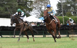 Ivy Mills won the award for top Virginia-bred Over Fences