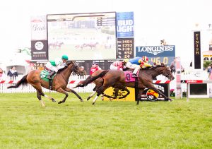 Queen Caroline won by a neck on Preakness Day at Pimlico (photo by Jim McCue)
