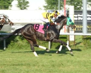 Titan Alexander wins at Mountaineer Park (Coady Photography)