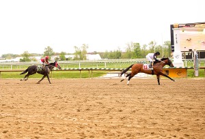 Tracy's Turn, bred by Larry Johnson, wins by three lengths at Laurel. Photo by Jim McCue.