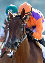 Beholder was best in  the Grade 1 Vanity Stakes on Saturday. Courtesy of Benoit Photography.