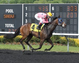 Cherokee Cousin got his first career win at Presque Isle May 31. Photo courtesy of Coady Photography.