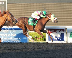 Disco Barbie heads toward the wire in Sunday's Satin and Lace Stakes at Presque Isle. Photo by Coady Photography.