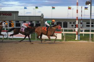 Desert Jewel, bred by the Morgan's Ford Farm, won her second race of 2016 at Penn National June 8th. Photo by B & D Photography.