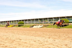 Favorite Niece, bred by Falls Church Racing Stables, broke her maiden in dominating fashion June 10 at Pimlico. Photo by Jim McCue.  