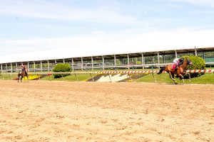 Favorite Niece, bred by Falls Church Racing Stables, broke her maiden in dominating fashion June 10 at Pimlico. Photo by Jim McCue.