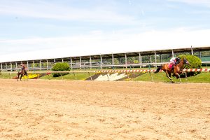 Favorite Niece, bred by Falls Church Racing Stables, broke her maiden in dominating fashion June 10 at Pimlico. Photo by Jim McCue.  