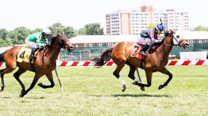 Rose Brier wins the Edward P. Evans Stakes at Pimlico on Saturday. Photo by Jim McCue. 