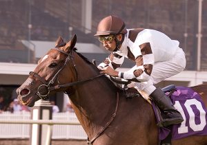 Two Notch Road, shown in the 2014 Bert Allen Stakes, has nominated to the Edward P. Evans Stakes. photo by Jim McCue.