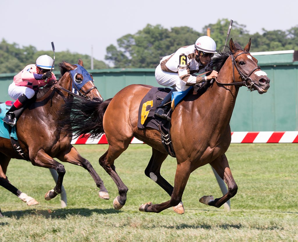 Two Notch Road upset Exaggerated in the June 25th White Oak Farm Stakes. Photo by Jim McCue.
