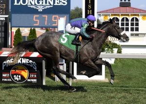 Early Grey captured a $30,000 Virginia-maiden race this past Saturday at Pimlico. Photo by Jim McCue.