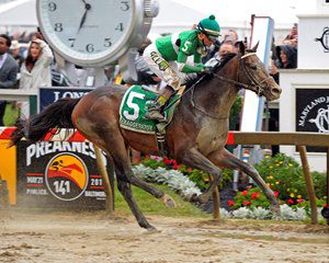 Preakness winner Exaggerator will take on 12 foes in the Belmont. Photo by Anne Eberhardt.