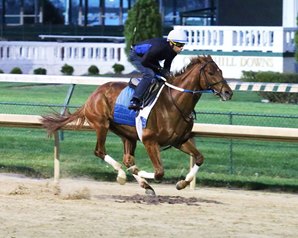 Gun Runner, 3rd in the Kentucky Derby, is favored in Saturday's Matt Winn Stakes. photo from Coady Photography.