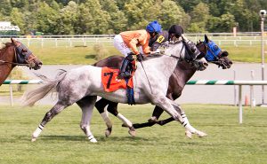 Available (#7) lost by a neck to Thirteenth Avenue but was placed first after a DQ. Photo by Jim McCue.