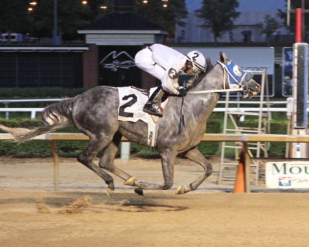 Explore cruised to a 5 length win July 18th at Mountaineer Park, his first of a recent hat trick of wins. Photo by Coady Photography.