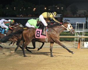 Ghost Is Fine paid a whopping $148.60 to win after being sent off at 73-1. Photo by Coady Photography.