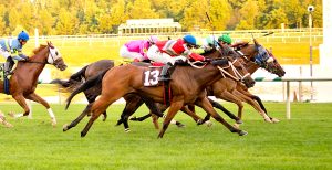 Manakin Road, inside, is a nose best in Friday's $22,000 maiden claimer at Laurel. Photo by Jim McCue.