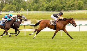 Edgar Prado directs Porte Cochere to victory July 3rd at Laurel. Photo by Jim McCue.