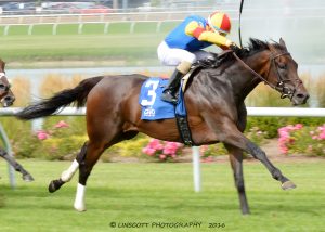 Queen Caroline, shown winning the $100,000 TaWee Stakes, gave owner Amy Moore her 2nd straight win with the filly. Photo courtesy of Indiana Grand.