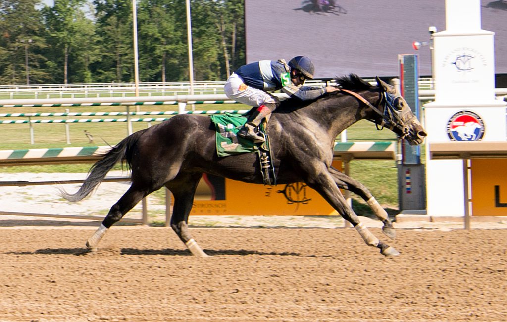 Service For Ten's upset win at Laurel July 24th gave owner Mark Lapidus, LLC a 25% bonus. Photo by Jim McCue.