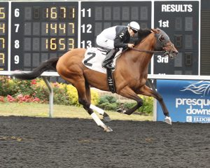 What a Wildcat, owned and bred by Larry Johnson, gained his 9th lifetime win July 6th at Presque Isle. Photo by Coady Photography.