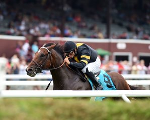 Long On Value, bred by the Snow Lantern Thoroughbreds, captured the July 25 Lucky Coin Stakes at Saratoga. Picture by Coglianese Photo. 
