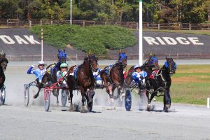 A 4 day harness meet was held at the Oak Ridge Estate in Nelson County last year.