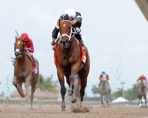 Cali Star finished second to Spelling Again in Saturday's Princess Rooney Stakes at Gulfstream. Photo by Coglianese Photos. 