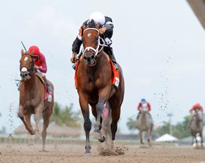 Cali Star finished second to Spelling Again in Saturday's Princess Rooney Stakes at Gulfstream. Photo by Coglianese Photos.