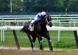 Sticksstatelydude got his 2nd career win July 15 at Belmont. Photo by Pack Pride Racing.