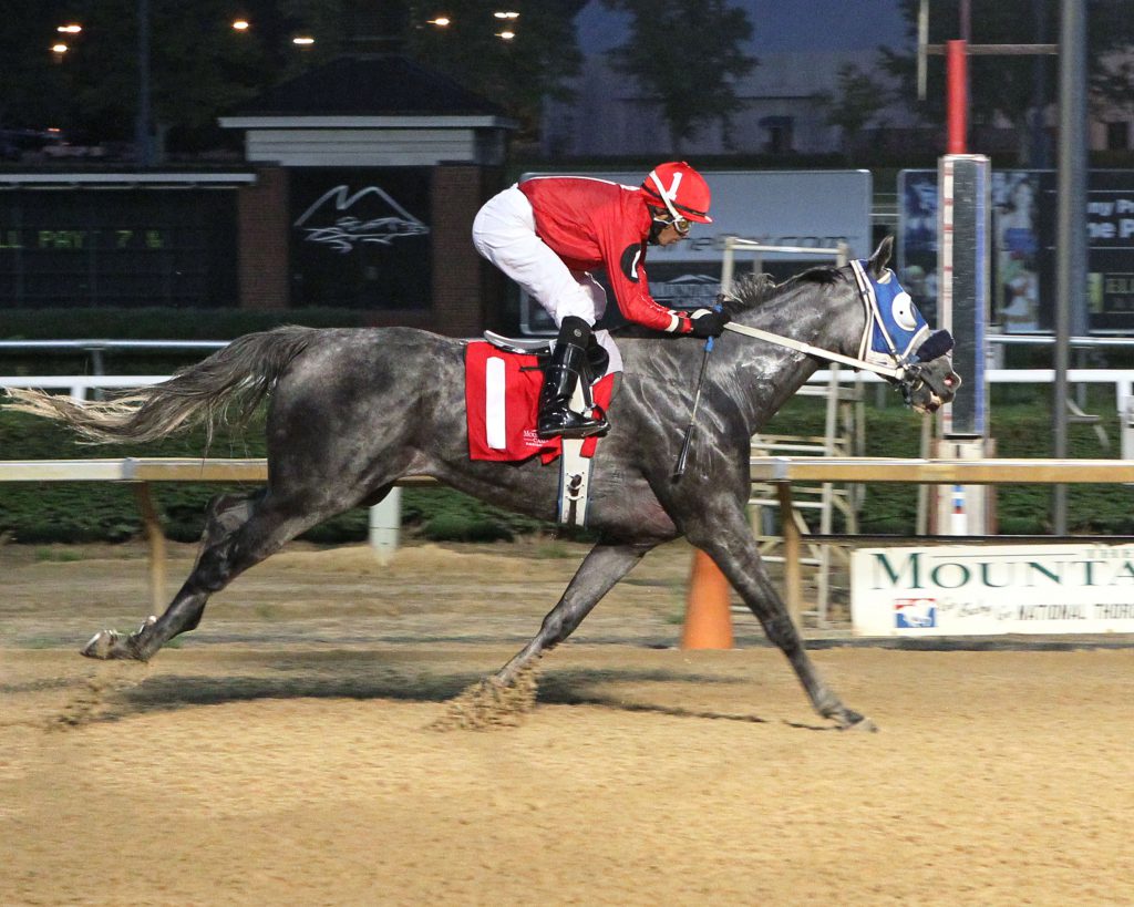 Explore won his claiming race at Mountaineer August 10th by 11 1/4 lengths! Photo by Coady Photography.