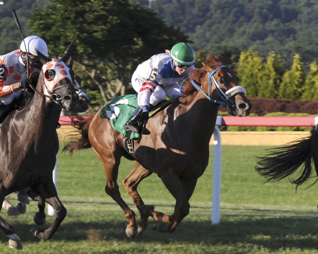 Grace Is Ready was the beneficiary of a DQ August 19th at Penn National. She got elevated from 2nd to get the win. Photo by B&D Photography.