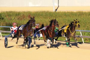 Horses who stable on the grounds at Shenandoah will be allowed on beginning September 7th.