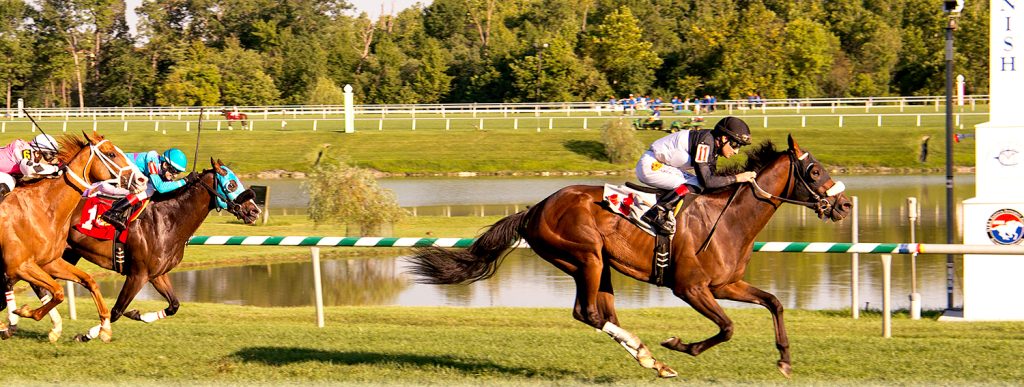 Mr. Magician, bred and owned by Larry Johnson, beat 11 other horses in a waiver claiming sprint at Laurel August 19th. Photo by Jim McCue.