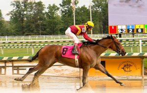 Porte Cochere wins a $28,000 starter optional claimer at Laurel August 12. Photo courtesy of Jim McCue.