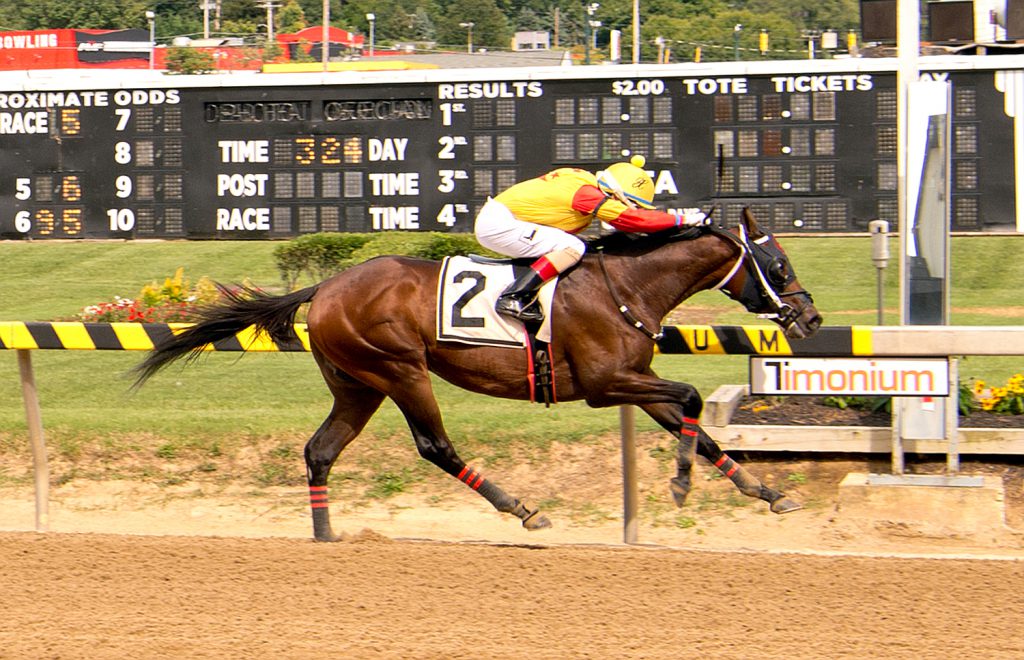 CB Bodemester broke his maiden September 2nd at Timonium. He will compete in the Jamestown Stakes Saturday. Photo by Jim McCue. 
