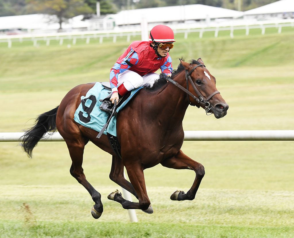 Lime House Louie, a Flint Stites trainee, won the Jamestown Stakes for 2 year old Sept. 24th at Laurel. Photo by Jim McCue.