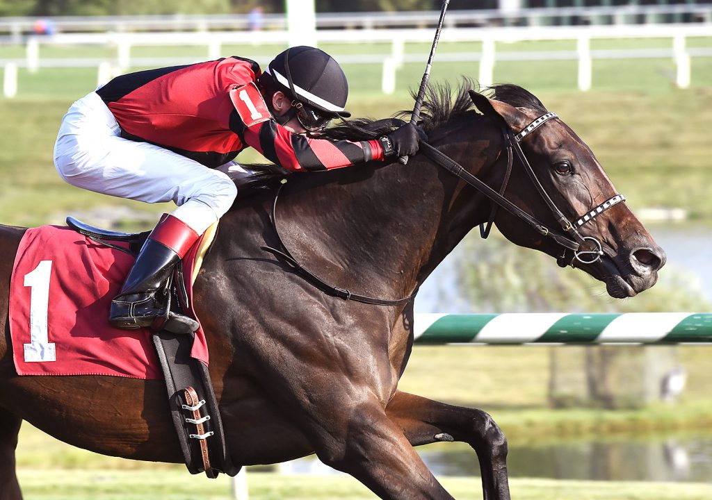 Rapid Rhythm prevailed by 1 1/2 lengths in the $60,000 Oakley Stakes Sept. 24 at Laurel. Photo by Jim McCue. 