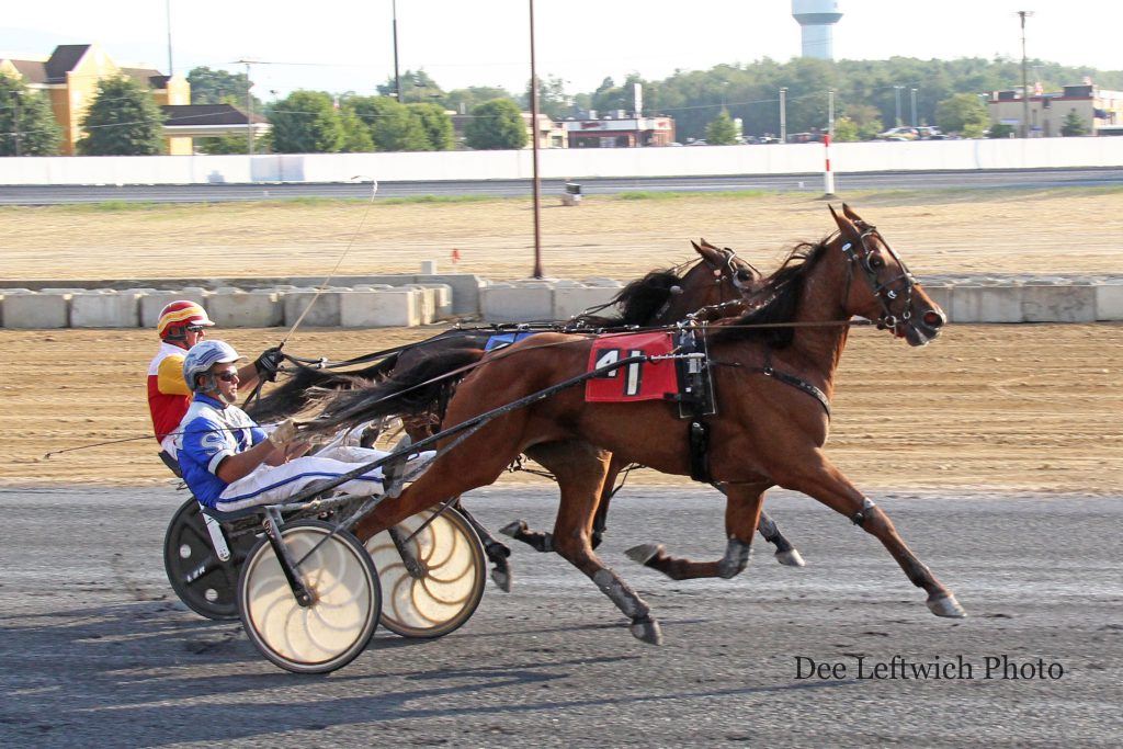 After a thrilling battle with Elton J in the final quarter, Speedy Taxi prevailed by a neck in the 3 Year Old Colt/Gelding Trot. Photo by Dee Leftwich. 